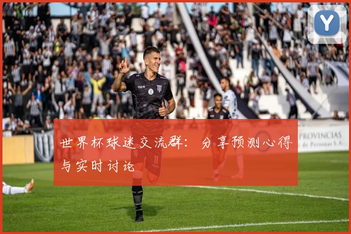 世界杯球迷交流群：分享预测心得与实时讨论