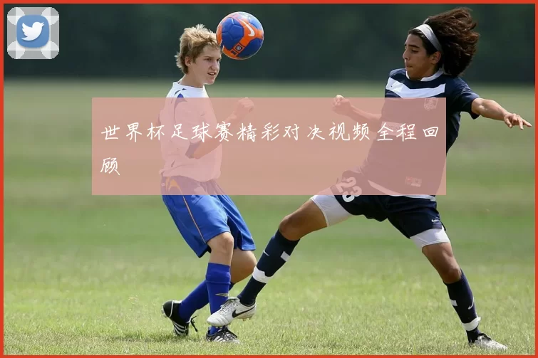 世界杯足球赛精彩对决视频全程回顾