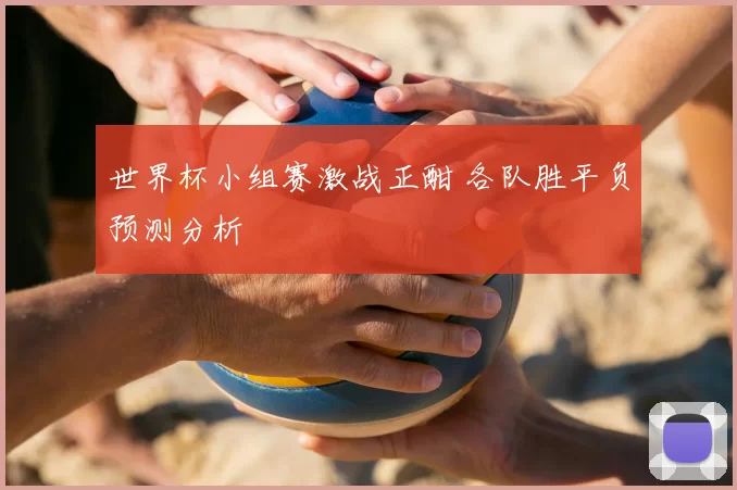 世界杯小组赛激战正酣 各队胜平负预测分析