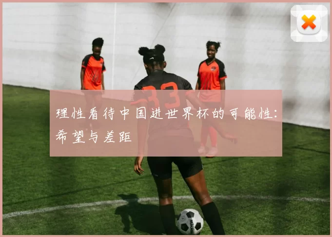 理性看待中国进世界杯的可能性:希望与差距