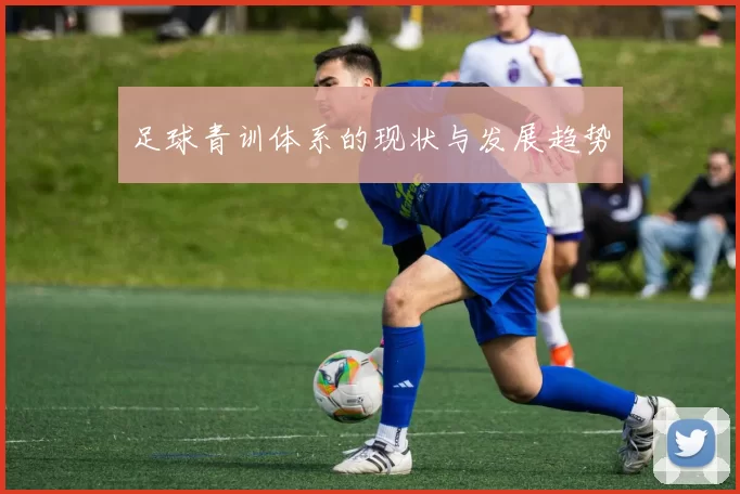 足球青训体系的现状与发展趋势