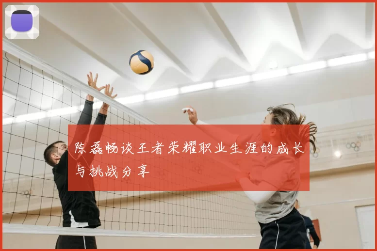 陈磊畅谈王者荣耀职业生涯的成长与挑战分享