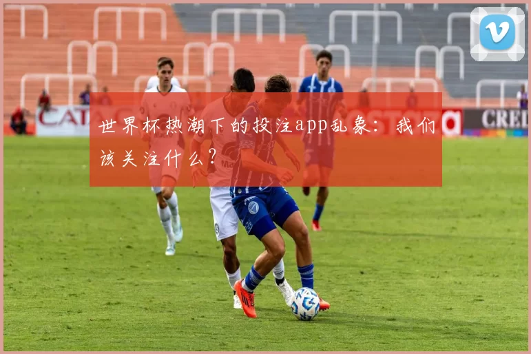 世界杯热潮下的投注app乱象：我们该关注什么？