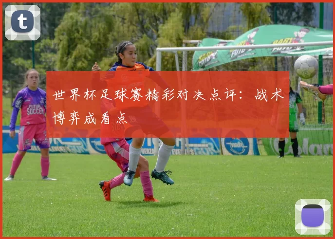 世界杯足球赛精彩对决点评:战术博弈成看点