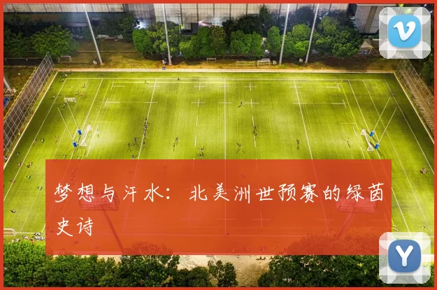 梦想与汗水：北美洲世预赛的绿茵史诗