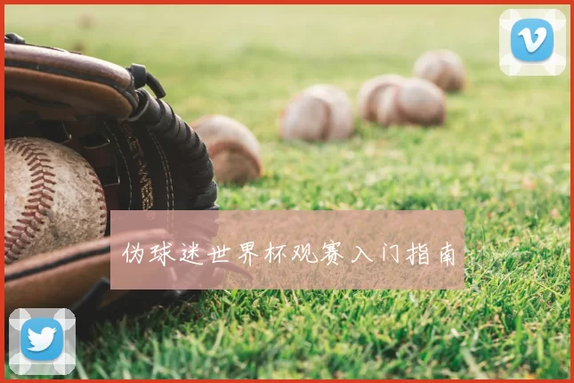 伪球迷世界杯观赛入门指南