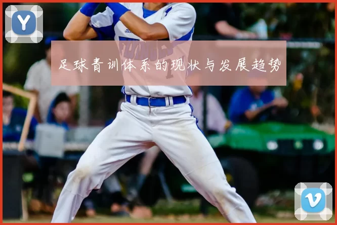 足球青训体系的现状与发展趋势