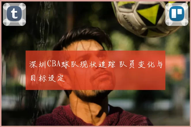 深圳CBA球队现状追踪 队员变化与目标设定