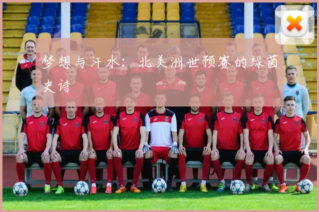 梦想与汗水：北美洲世预赛的绿茵史诗